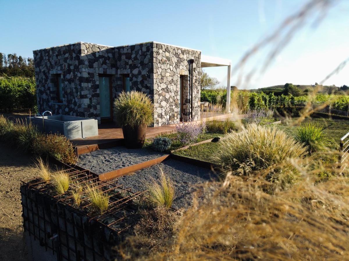 Tenuta Di Castellaro Winery & Resort Λίπαρι Εξωτερικό φωτογραφία