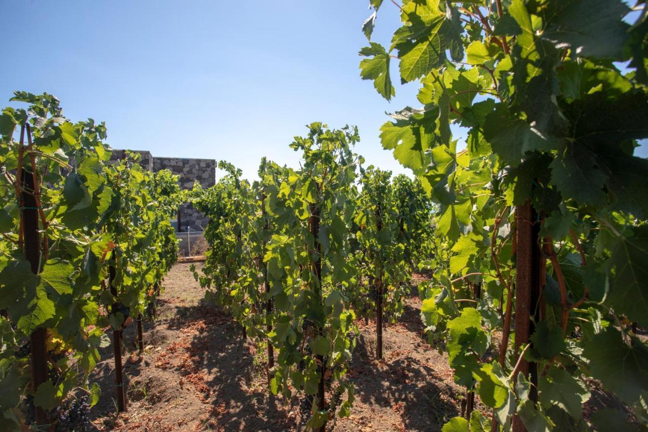 Tenuta Di Castellaro Winery & Resort Λίπαρι Εξωτερικό φωτογραφία
