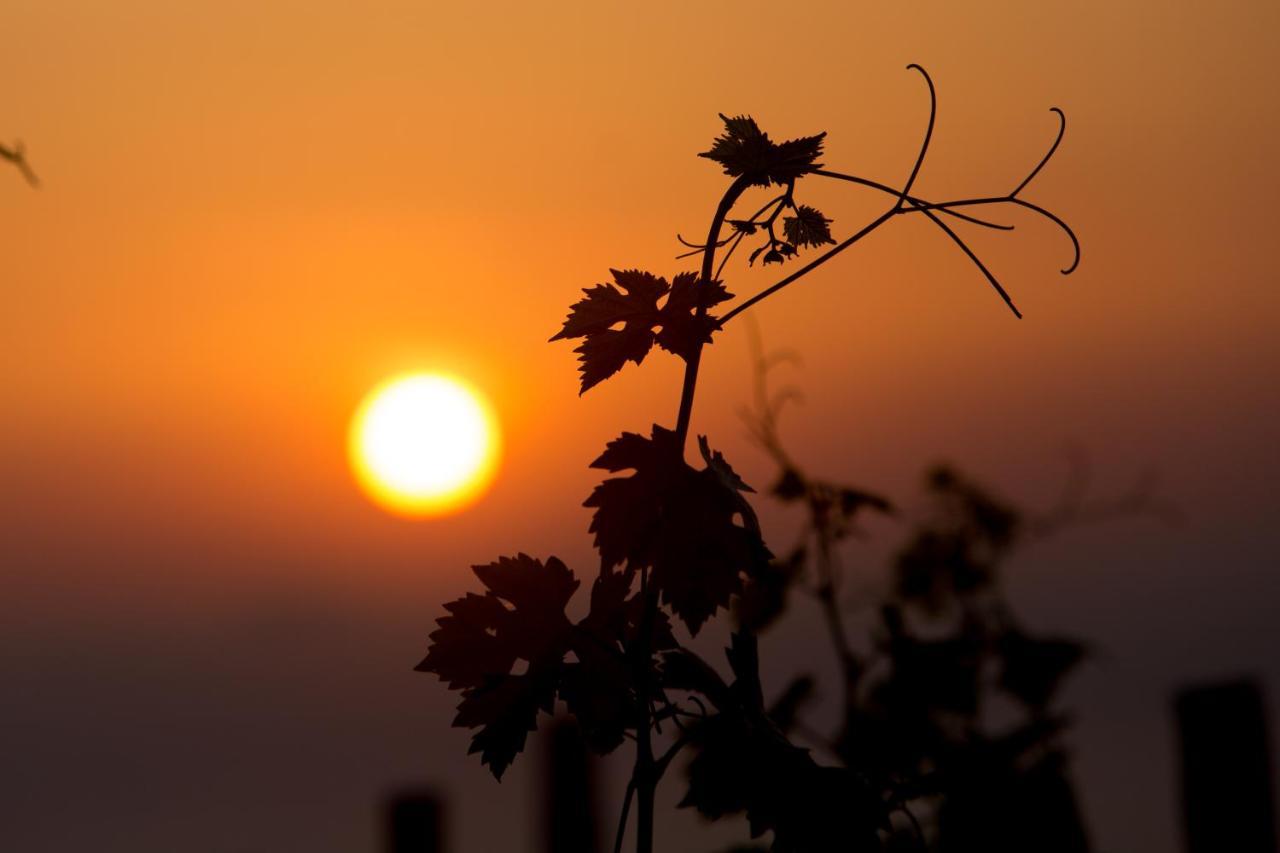 Tenuta Di Castellaro Winery & Resort Λίπαρι Εξωτερικό φωτογραφία